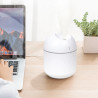 BALASHOV Umidificatore e diffusore portatile da 250 ml - Nebbia di aromi LED USB ...